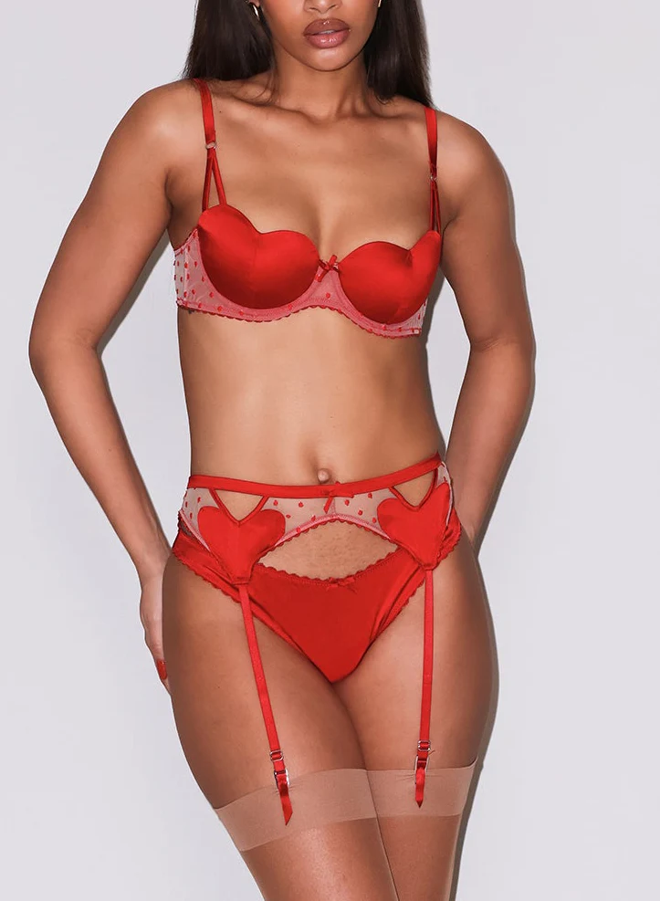 Amour Garter Belt - Image 7