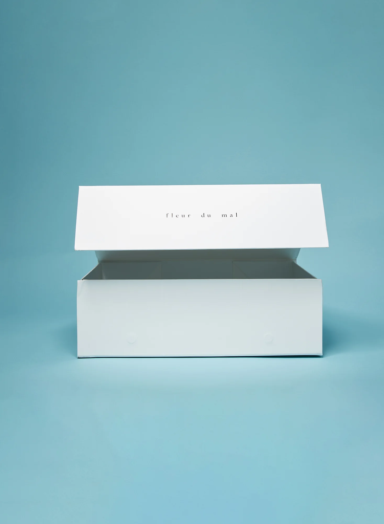 Large Gift Box - Image 2