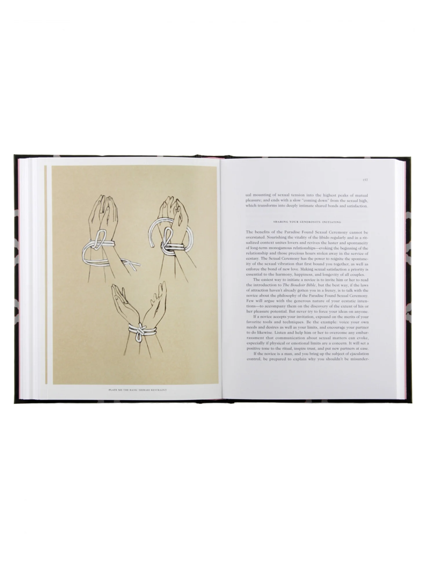 The Boudoir Bible - Image 2
